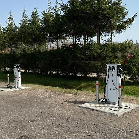 Radailiu Dvaras - Dinosaur Park Radailiai Exteriör bild